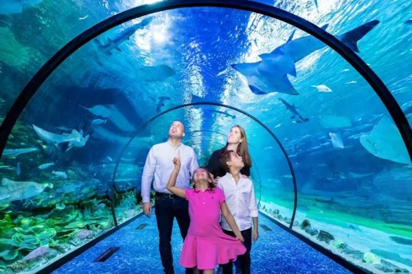 אקווריום אבו דאבי - The National Aquarium Abu Dhabi