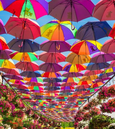 Dubai Miracle Garden