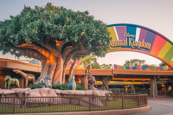 3. Disney's Animal Kingdom - הרפתקאה אקזוטית